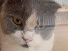 -藏猫猫咖啡主题馆(中央大道店)