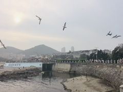 -黑石礁公园