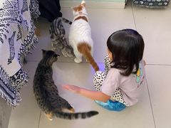 -平行世界·猫咖(首经贸店)