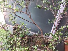 -钟永庆水饺(红星路南延线一段)