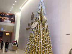 -英皇电影城(英皇集团中心IMAX店)
