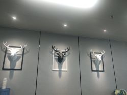 -MJ skin care国际皮肤管理中心