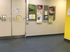 -香港大学