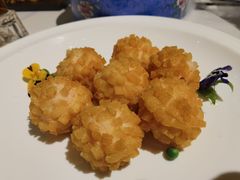-荟廷·晶萃(陆家嘴尚悦湾店)
