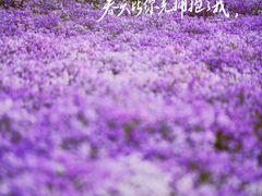 -中粮·祥云小镇