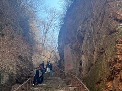 -天女山森林公园