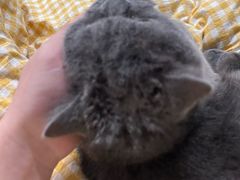 -爱侣宠医·鹦鹉专科·小型哺乳类·异宠专科(灵石路店)