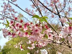 -梁鸿国家湿地公园