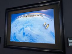 -罗红摄影艺术馆