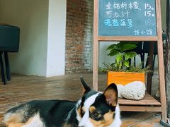 -三亚西岛海洋文化旅游区