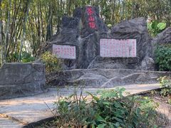 -东莞市大岭山森林公园