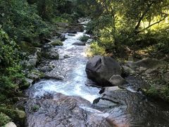 -天女山森林公园
