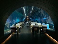 -海棠湾洲际-涛·海底餐厅·美人鱼·自助餐·海底隧道