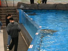 -芜湖新华联大白鲸海洋公园