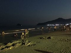 -西涌国际滨海旅游区