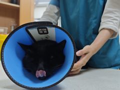 -联合动物医院(光谷诊疗中心)