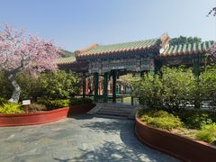 -珠海圆明新园