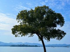 -杭州西湖柳莺里酒店·闻莺厅