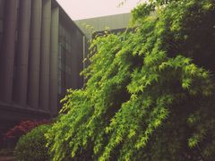 -华为西安研究所v4-食堂1