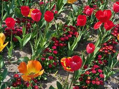 -杭州师范大学(下沙校区)