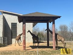 -石家庄市动物园