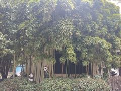 -1912街区
