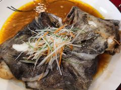 -蔡阿水羊肉店