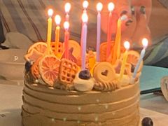 -维尔纳斯·生日蛋糕·动物奶油冰淇淋蛋糕(六里桥店)
