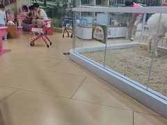 -小菜园新徽菜(北京大兴龙湖天街店)