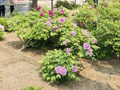 -大钟寺古钟博物馆