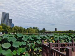 -西海子公园