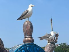 -大连老虎滩海洋公园