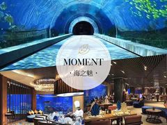 -海棠湾洲际-涛·海底餐厅·美人鱼·自助餐·海底隧道