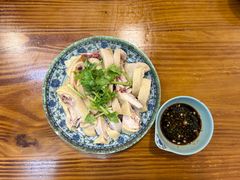 -九斤黄三黄鸡专卖店