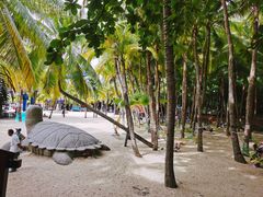 -海南分界洲岛旅游区