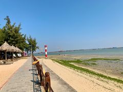 -北海金海湾红树林生态旅游区
