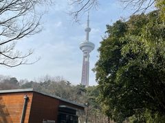 -南京古林公园