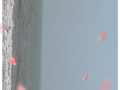 -南澳海滩