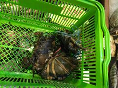 -尚味泰餐厅