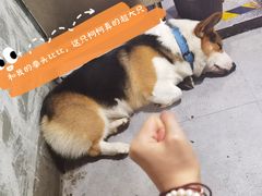 -阿尔法海鲜排档(爱琴海店)