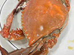 有膏梭子蟹-郭姐·威海渔村(黄兴路店)