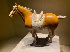 -宁夏博物馆