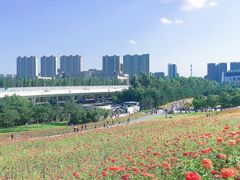 -长春世界雕塑园冰雪艺术天地