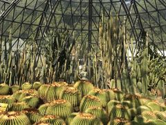 -深圳仙湖植物园