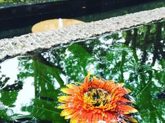 -天目湖御水温泉·度假酒店