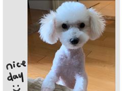 -沐沐家宠物(成寿寺店)