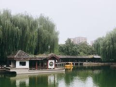 -团结湖公园