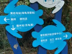 -广东惠东海龟国家级自然保护区