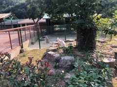 -无锡动物园·太湖欢乐园