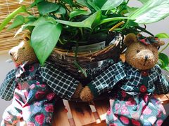 -古耳咖啡(北锣店)